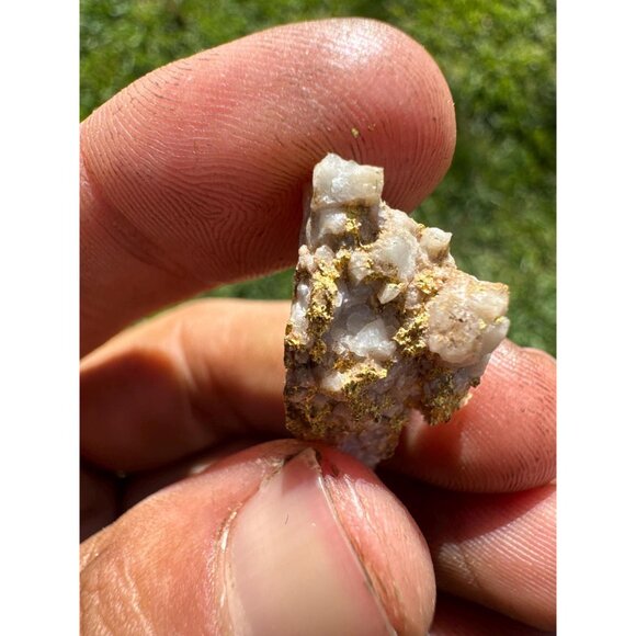 VERY RICH Gold in Quartz Specimen- California - 10.8 grams - Picture 10 of 12
